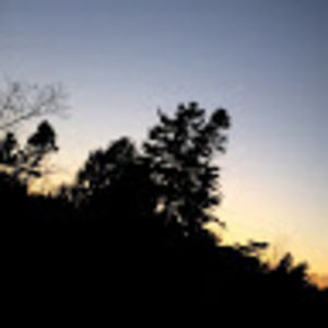 Meet your Posher, Shahd